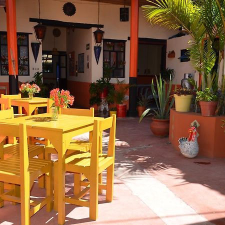 Hostal El Rincon De Los Camellos San Cristóbal de Las Casas Zewnętrze zdjęcie