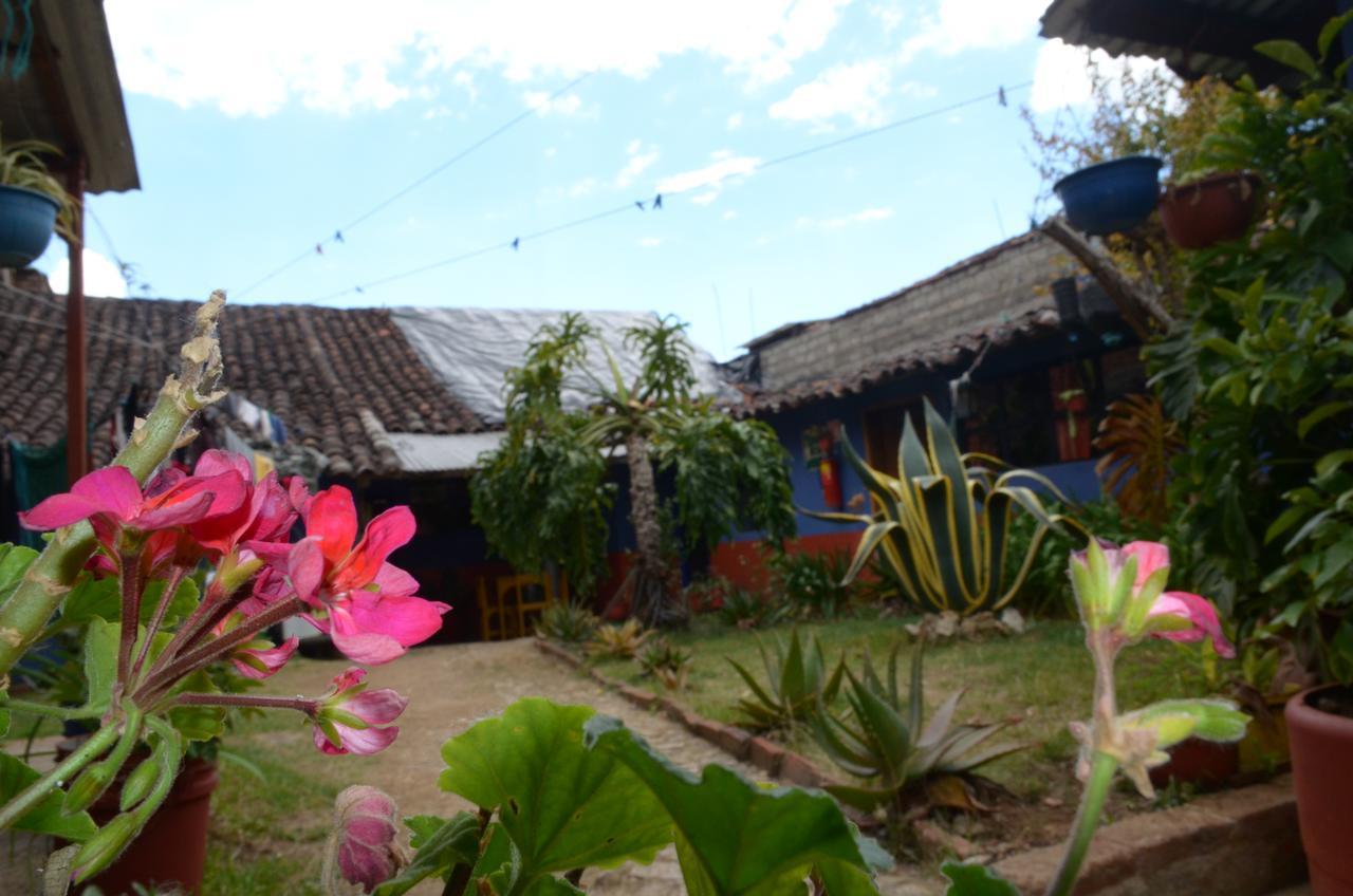 Hostal El Rincon De Los Camellos San Cristóbal de Las Casas Zewnętrze zdjęcie