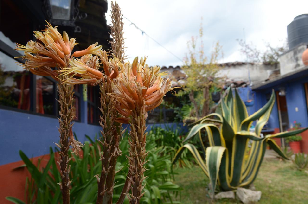 Hostal El Rincon De Los Camellos San Cristóbal de Las Casas Zewnętrze zdjęcie