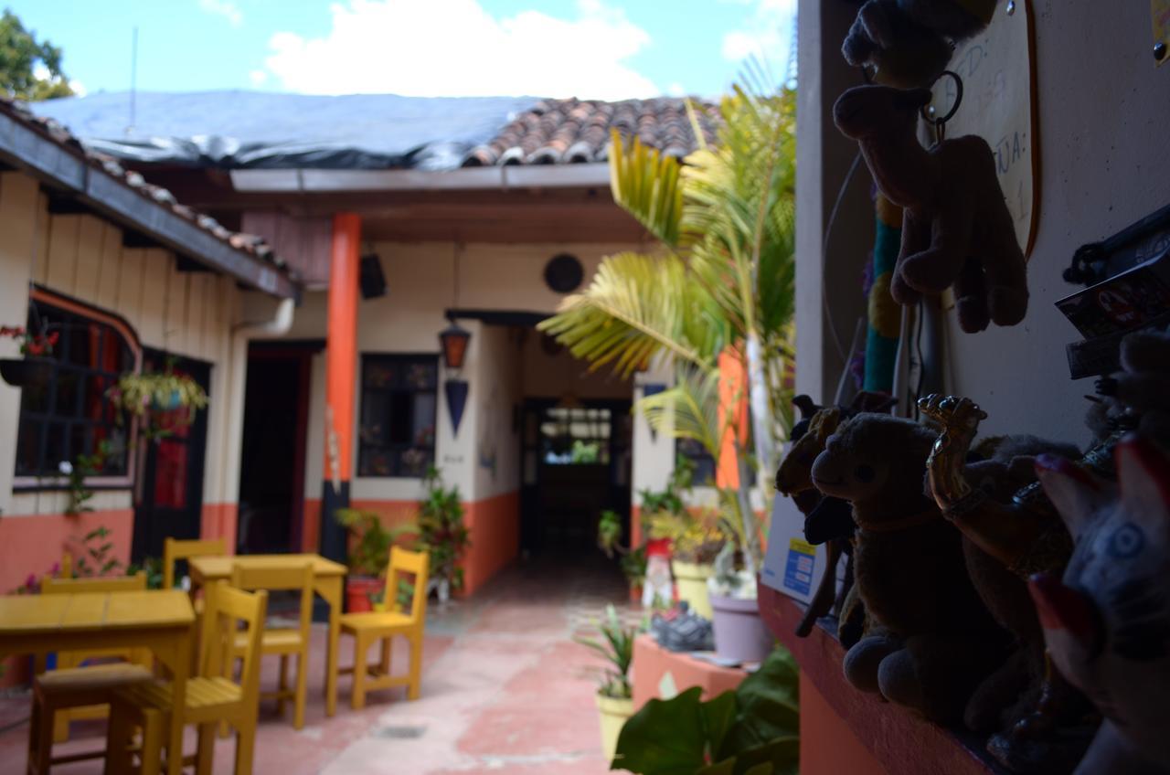 Hostal El Rincon De Los Camellos San Cristóbal de Las Casas Zewnętrze zdjęcie