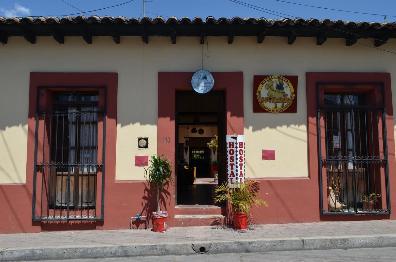 Hostal El Rincon De Los Camellos San Cristóbal de Las Casas Zewnętrze zdjęcie
