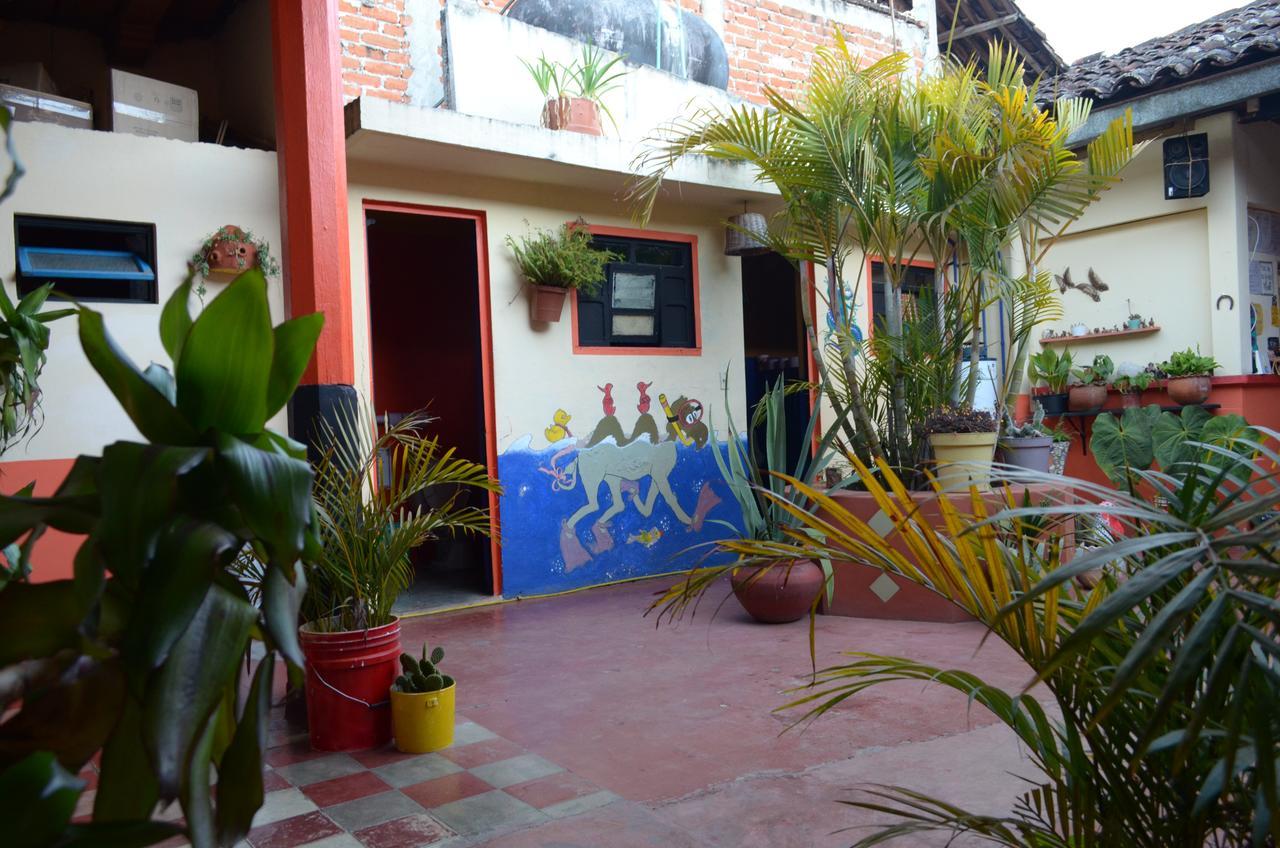 Hostal El Rincon De Los Camellos San Cristóbal de Las Casas Zewnętrze zdjęcie