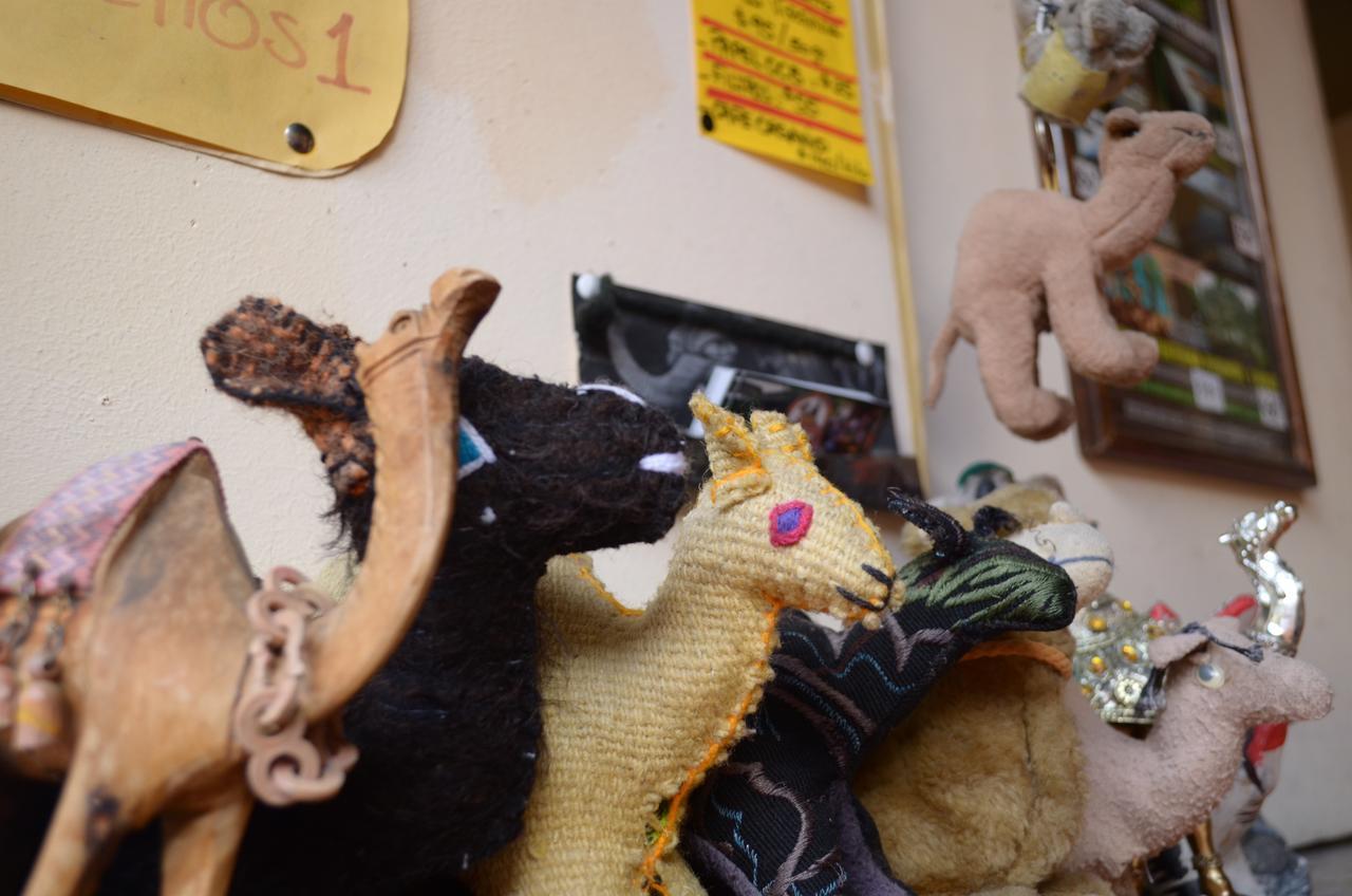 Hostal El Rincon De Los Camellos San Cristóbal de Las Casas Zewnętrze zdjęcie