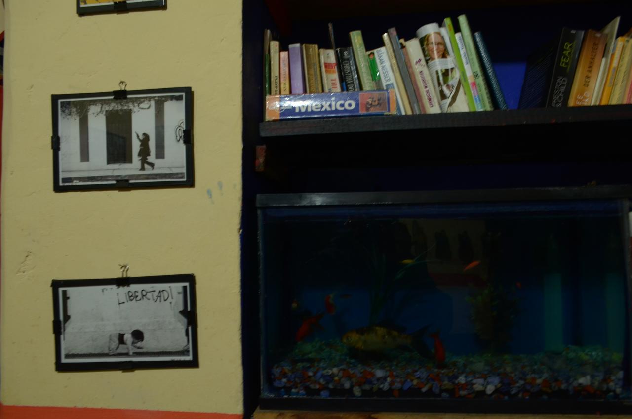 Hostal El Rincon De Los Camellos San Cristóbal de Las Casas Zewnętrze zdjęcie