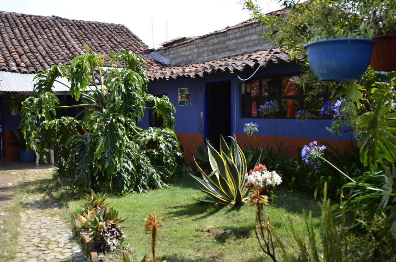 Hostal El Rincon De Los Camellos San Cristóbal de Las Casas Zewnętrze zdjęcie