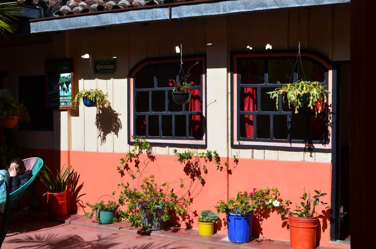 Hostal El Rincon De Los Camellos San Cristóbal de Las Casas Zewnętrze zdjęcie