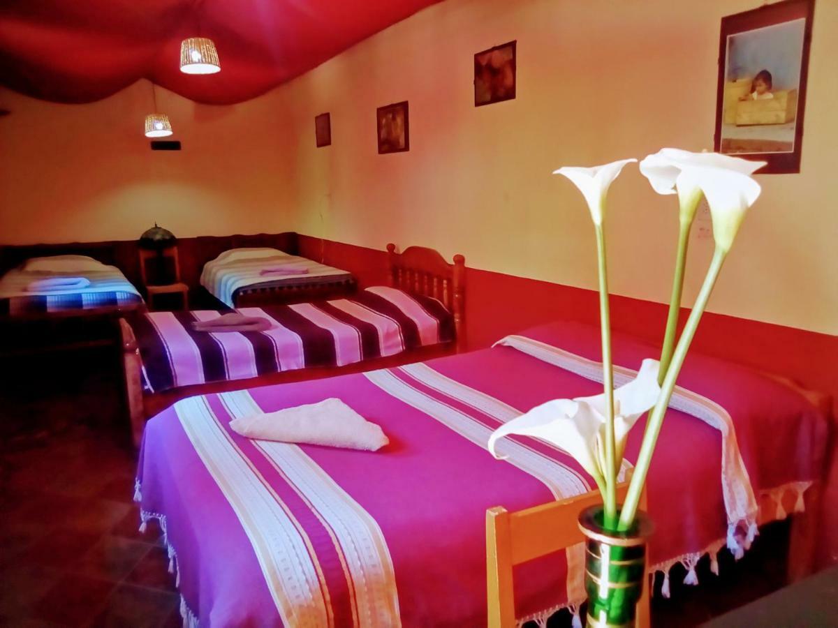 Hostal El Rincon De Los Camellos San Cristóbal de Las Casas Zewnętrze zdjęcie